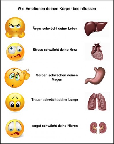Psychosomatik-Shiatsu-Massage-Wien