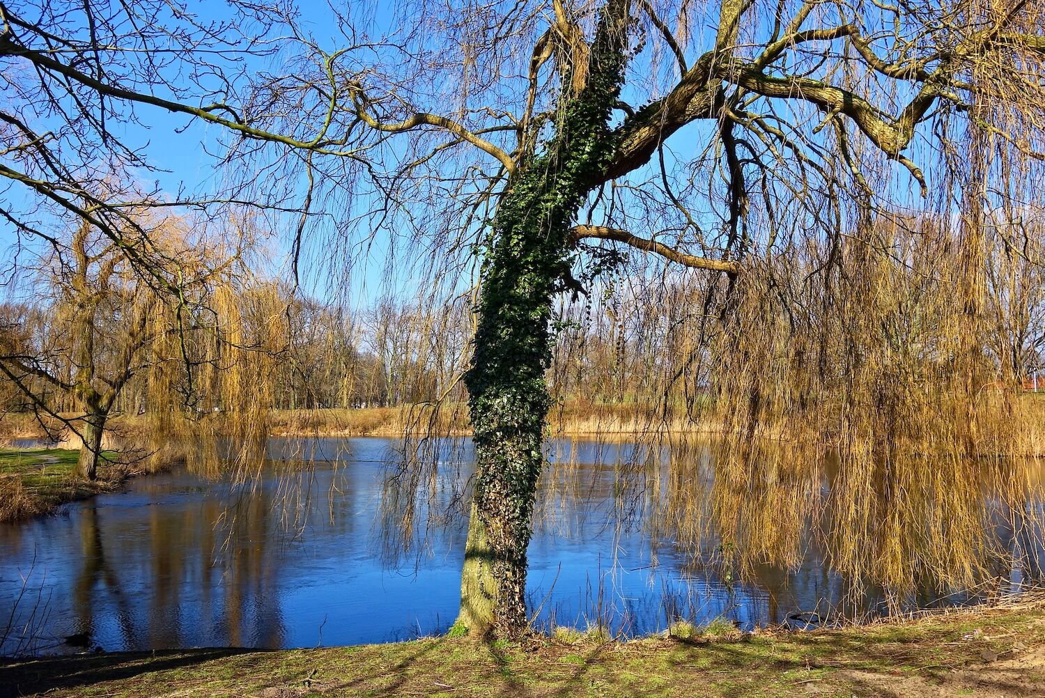 Koerperbilderreisen-wirbelsaeule
